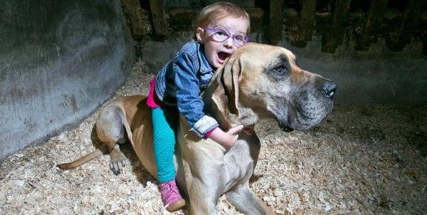 Un chien veille sur un enfant épileptique