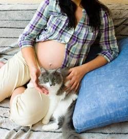 Vivre avec un animal durant la grossesse