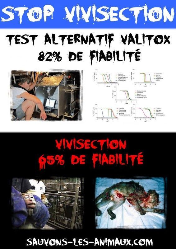 vivisection