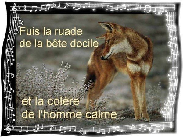 citation