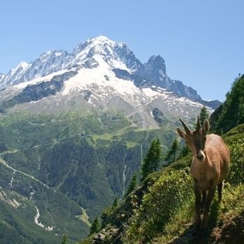 Le Tour du Mont-Blanc en France