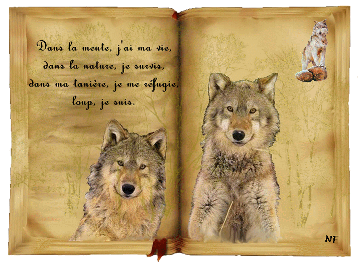 poeme sur les loups - Page 162 - Le Loup Et Le Lion Fin Triste